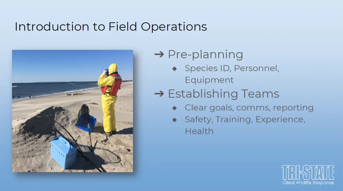 Thumbnail of title slide for TSBRR PPE