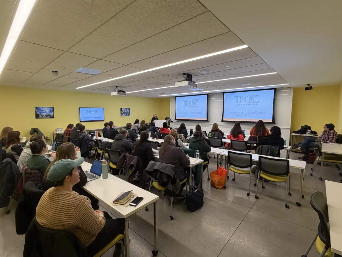 people at tables watching presentaiton on screen