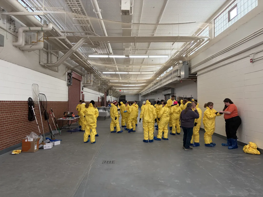 People in PPE