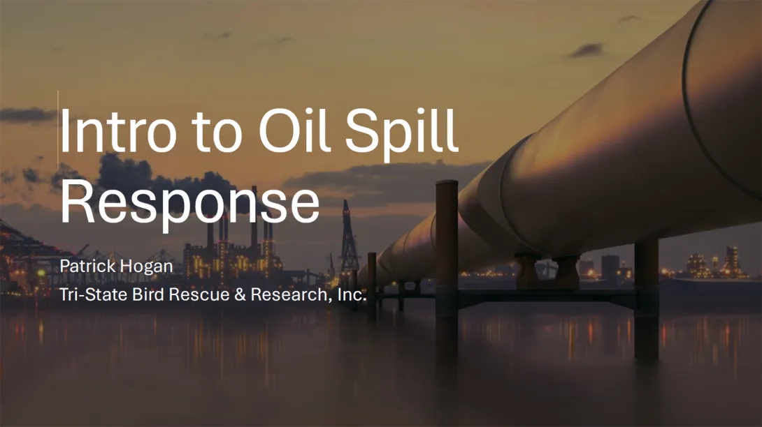 Thumbnail of title slide-Intro to Oil Spill Response