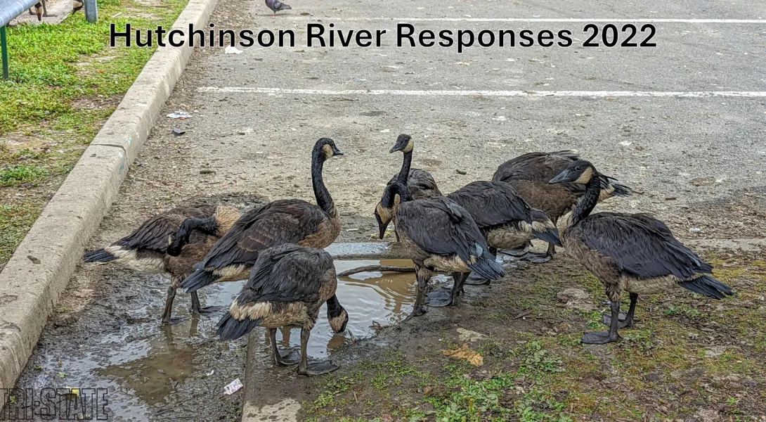 Thumbnail of title slide-NYSDEC Spill Case Study