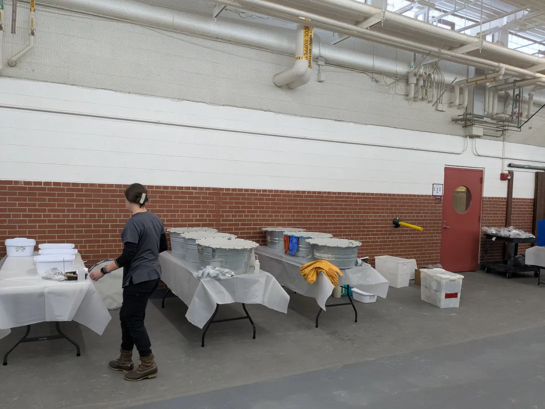 tables with tubs of water