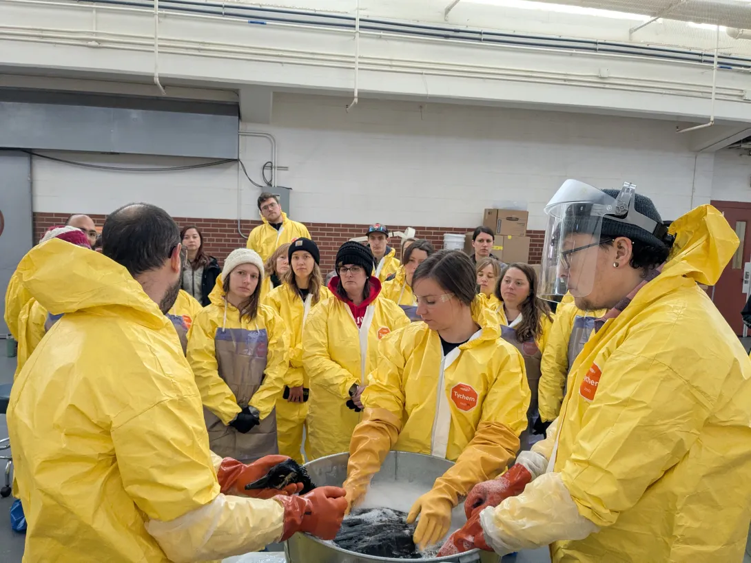 Training in PPE for washing birds