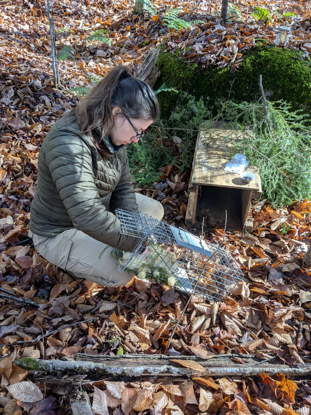 Taylor checking traps