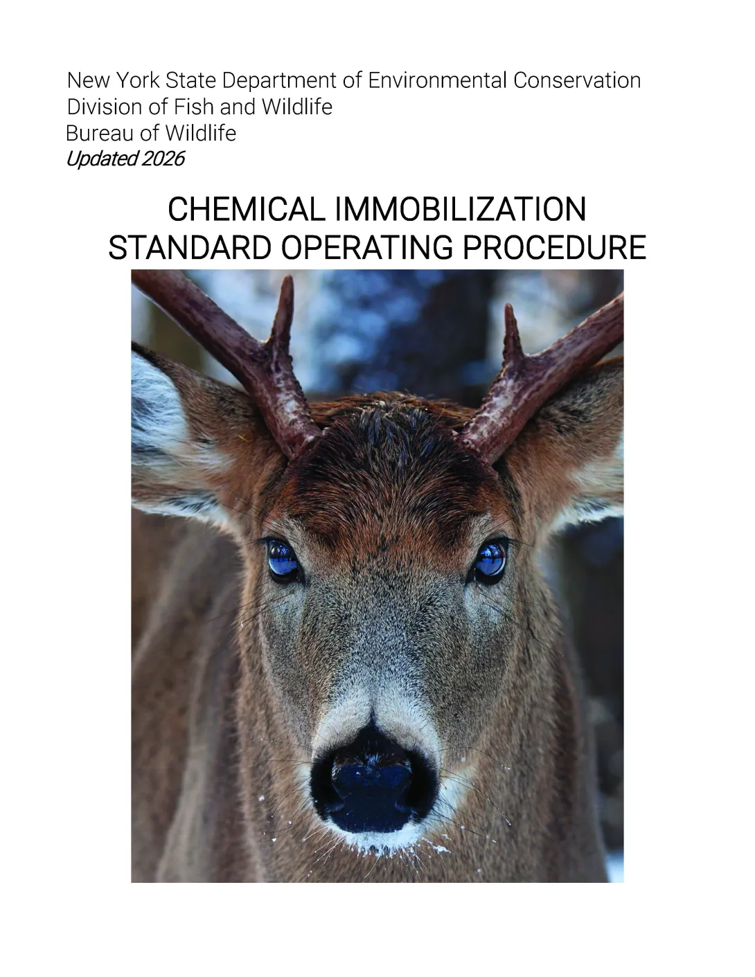 Thumbnail of guidelines for CI SOP; click on image to download PDF