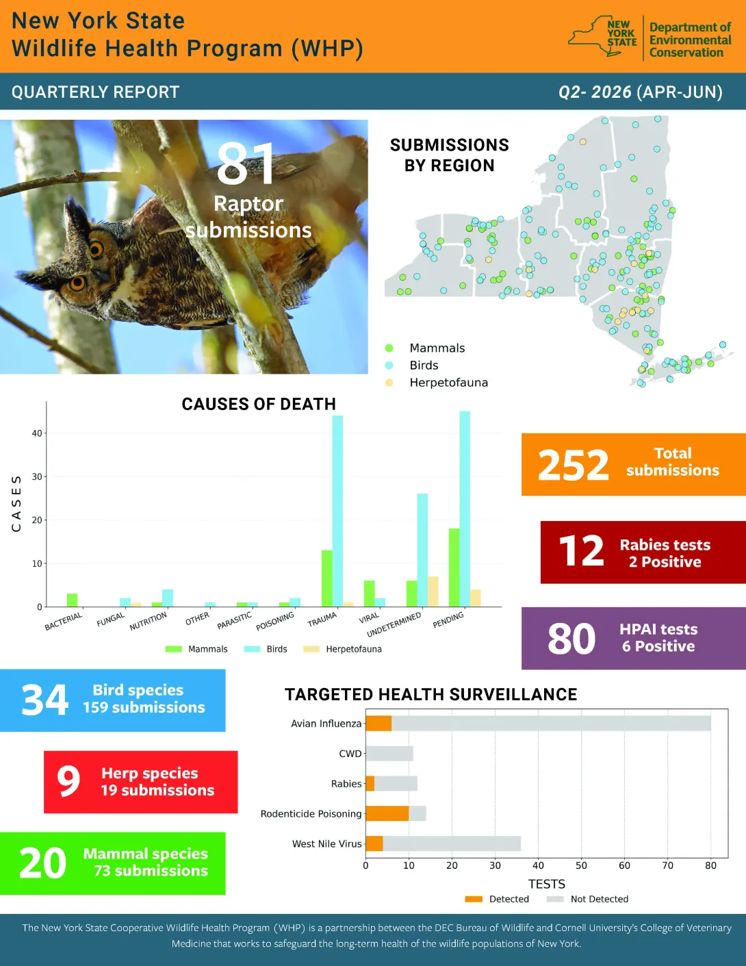 Thumbnail of report for WHP Q2 2026