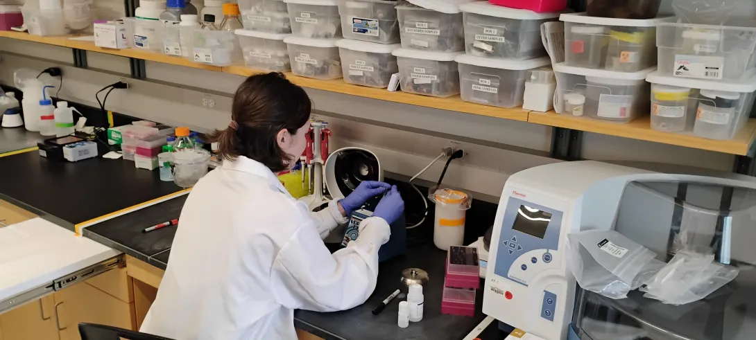 woman handling samples in a lab