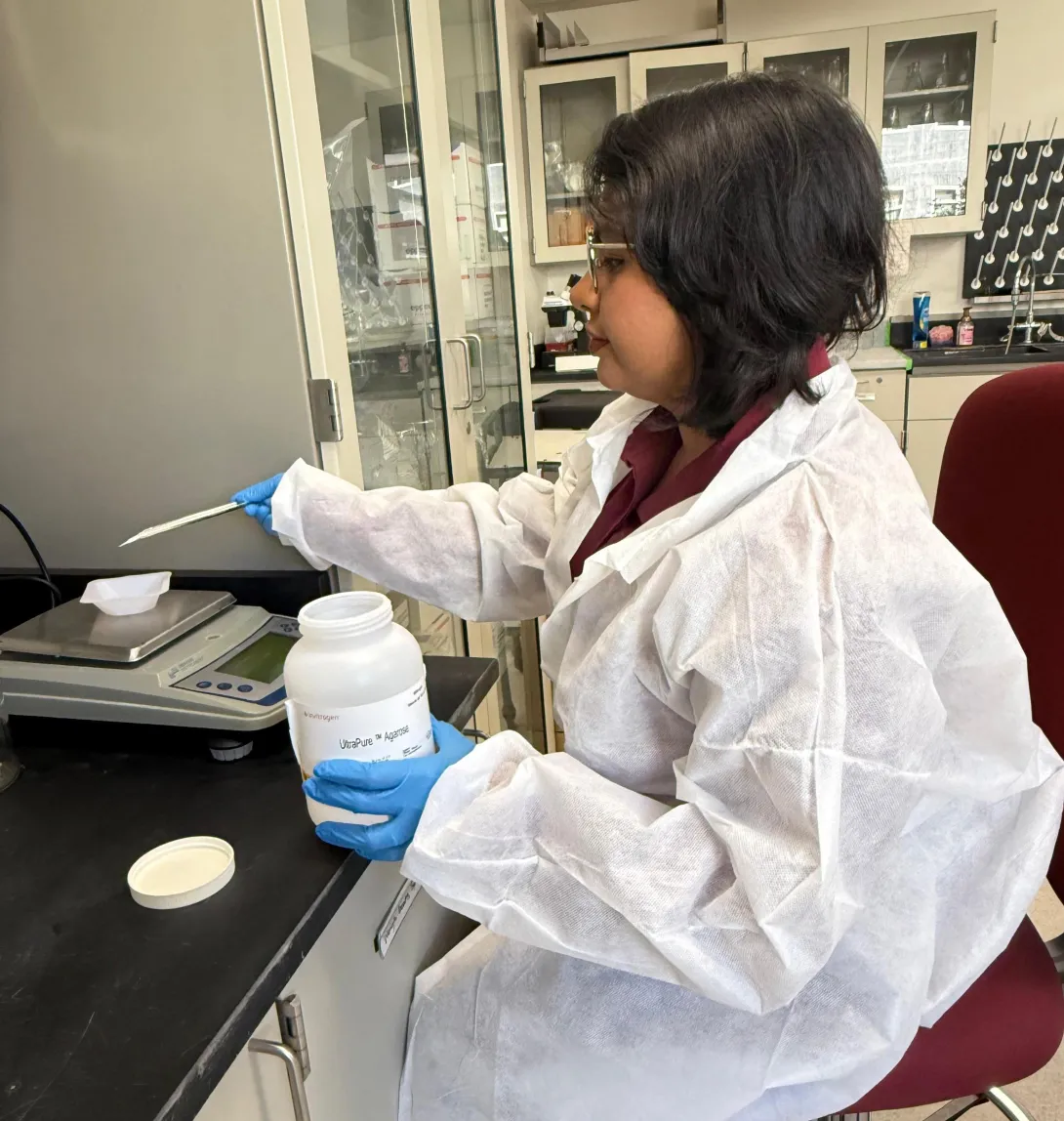 precise weighing of samples in lab