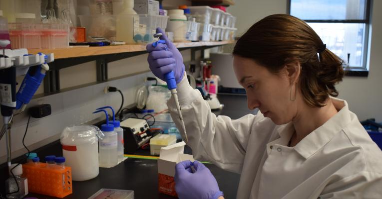 Dr Kaganer preparing DNA samples for testing.