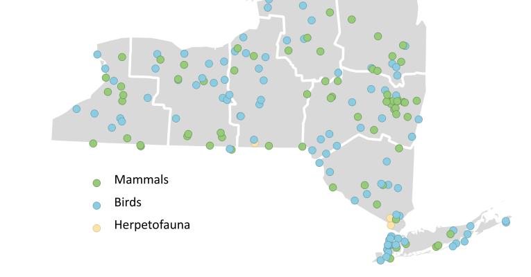 map of wildlife cases 2024 Q4