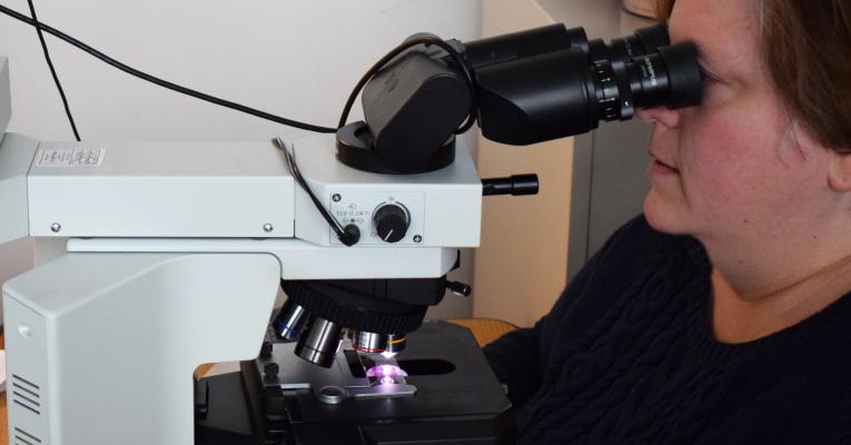Dr Buckles at the scope