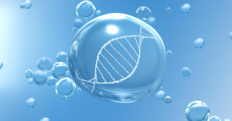 DNA helix inside water droplet