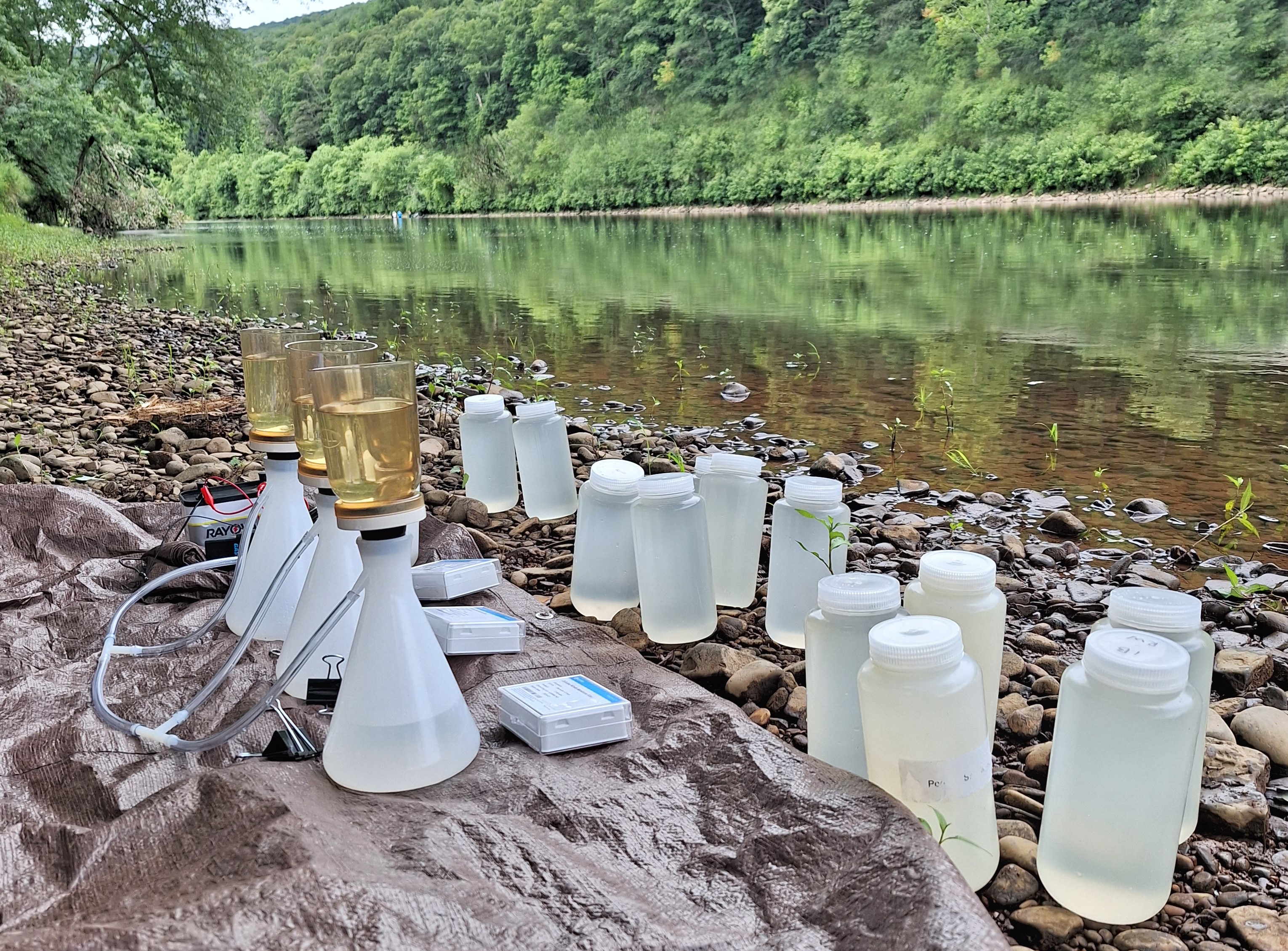 Bottles of water collected and filtered for pathogen and cryptic species detection using eDNA techniques