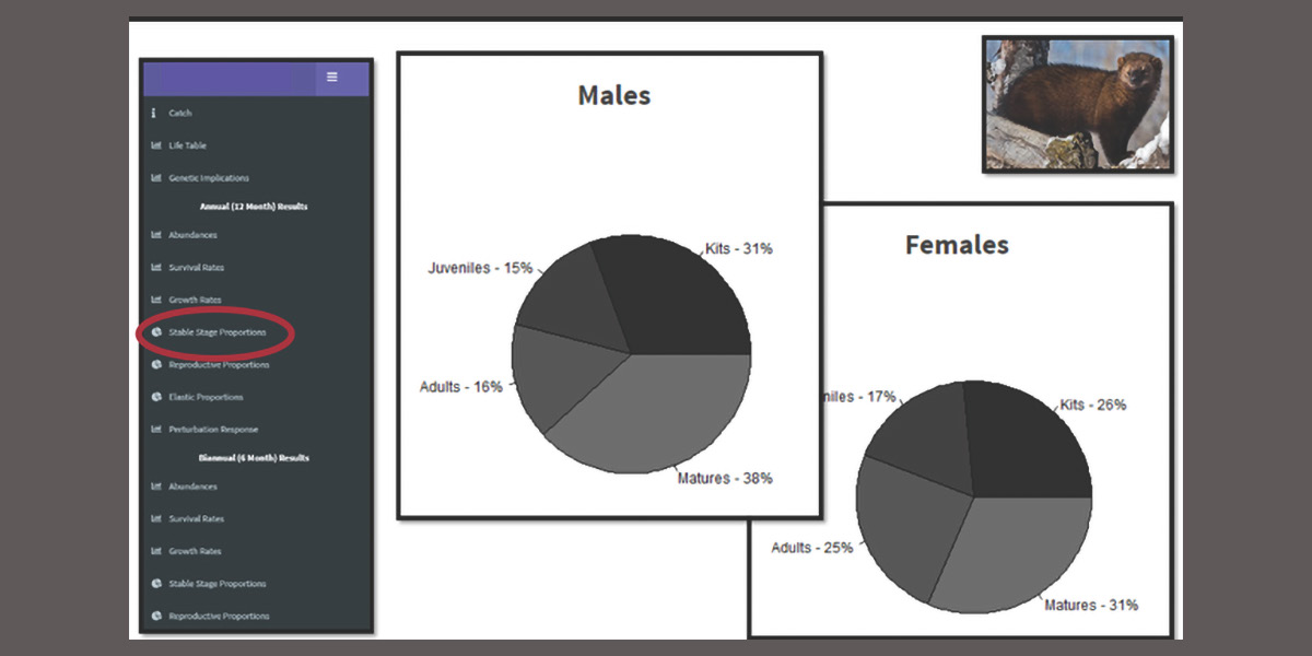 screen shot of modeling data