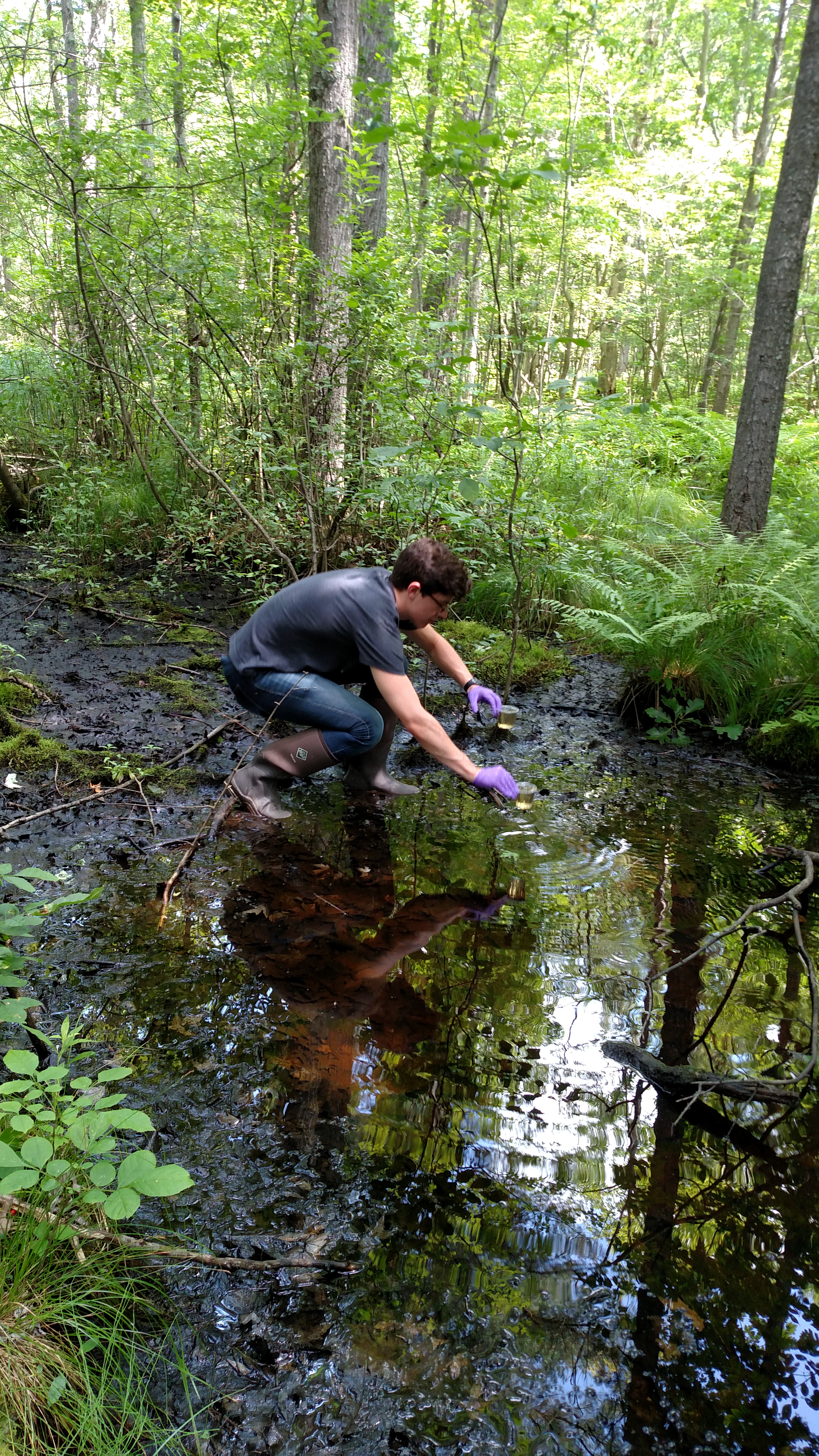 DVM student collecting water samples in the field