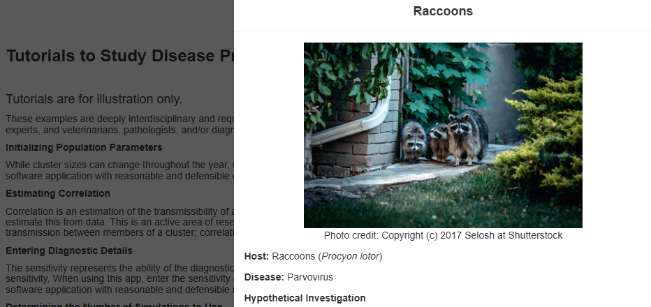 Screenshot of raccoon simulation