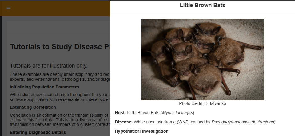 screenshot of bat results