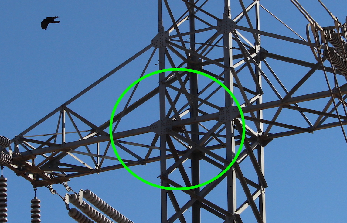 raven nests on power towers lines circled in green