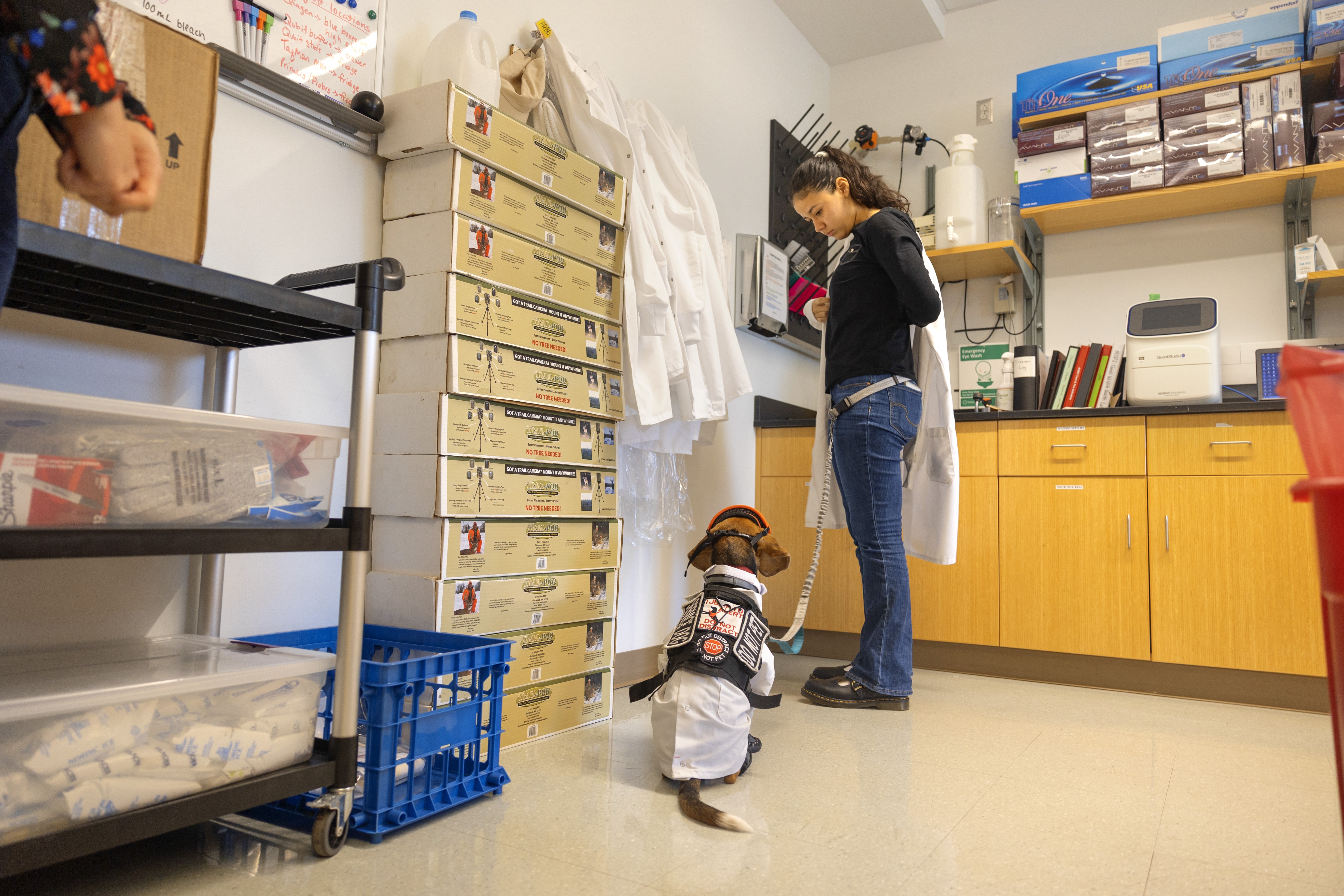 CALS undergraduate Genesis Contreras ’24 and her service dog, Nugget, at the Cornell Wildlife Health Lab at the  Animal Health Diagnostic Center.