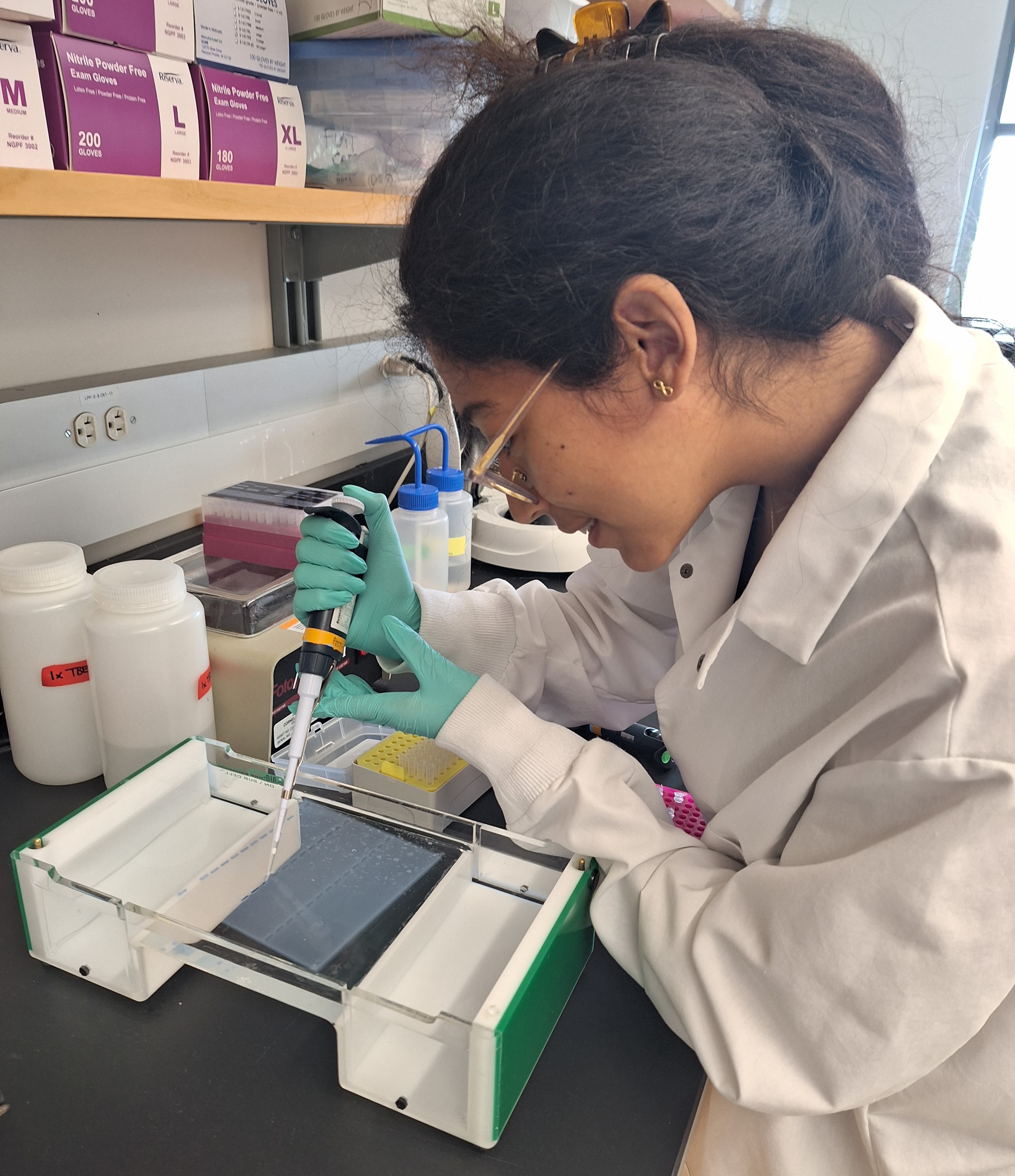 Paula in the lab prepping eDNA samples