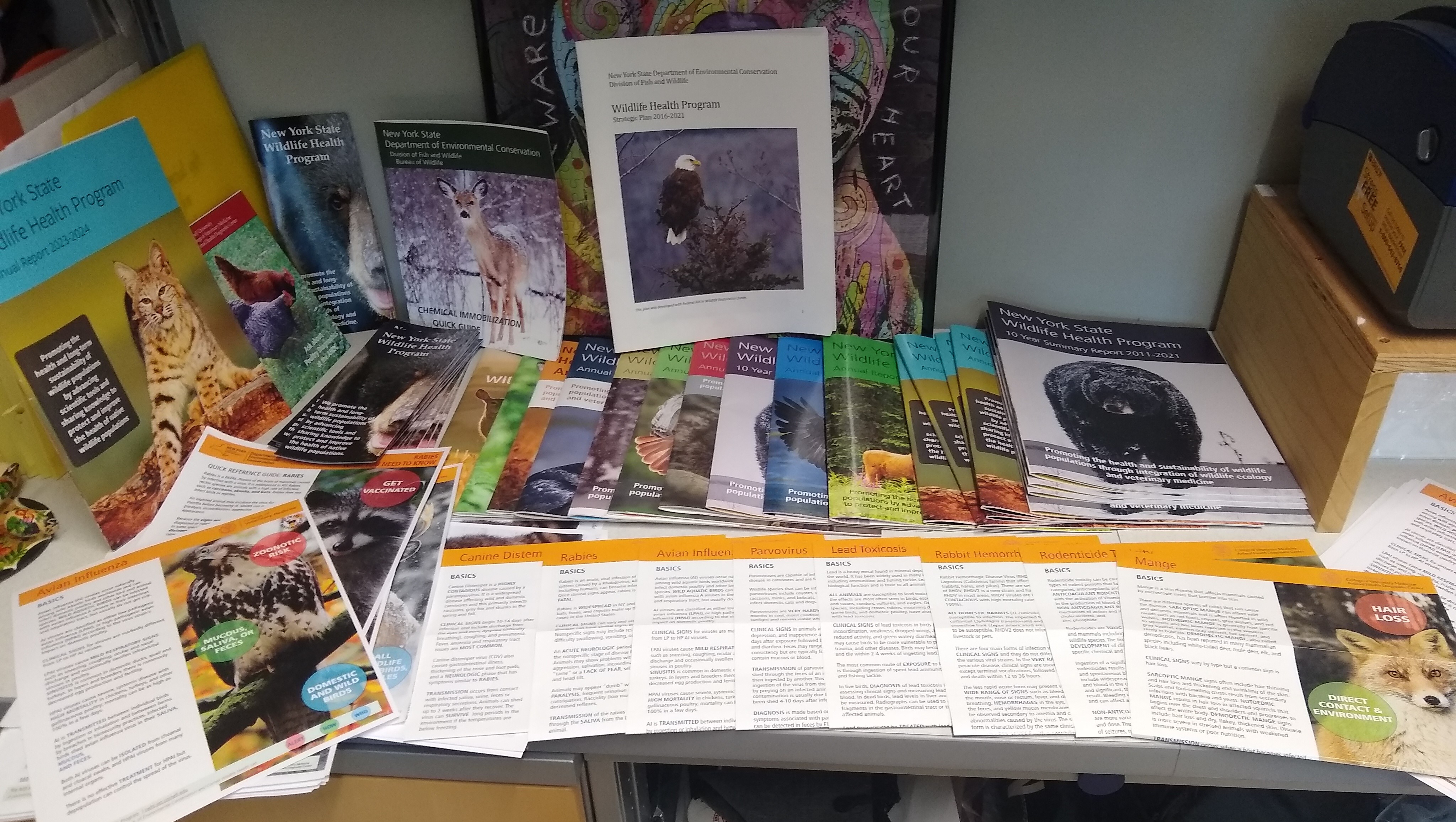 Assortment of reports and print materials on desk