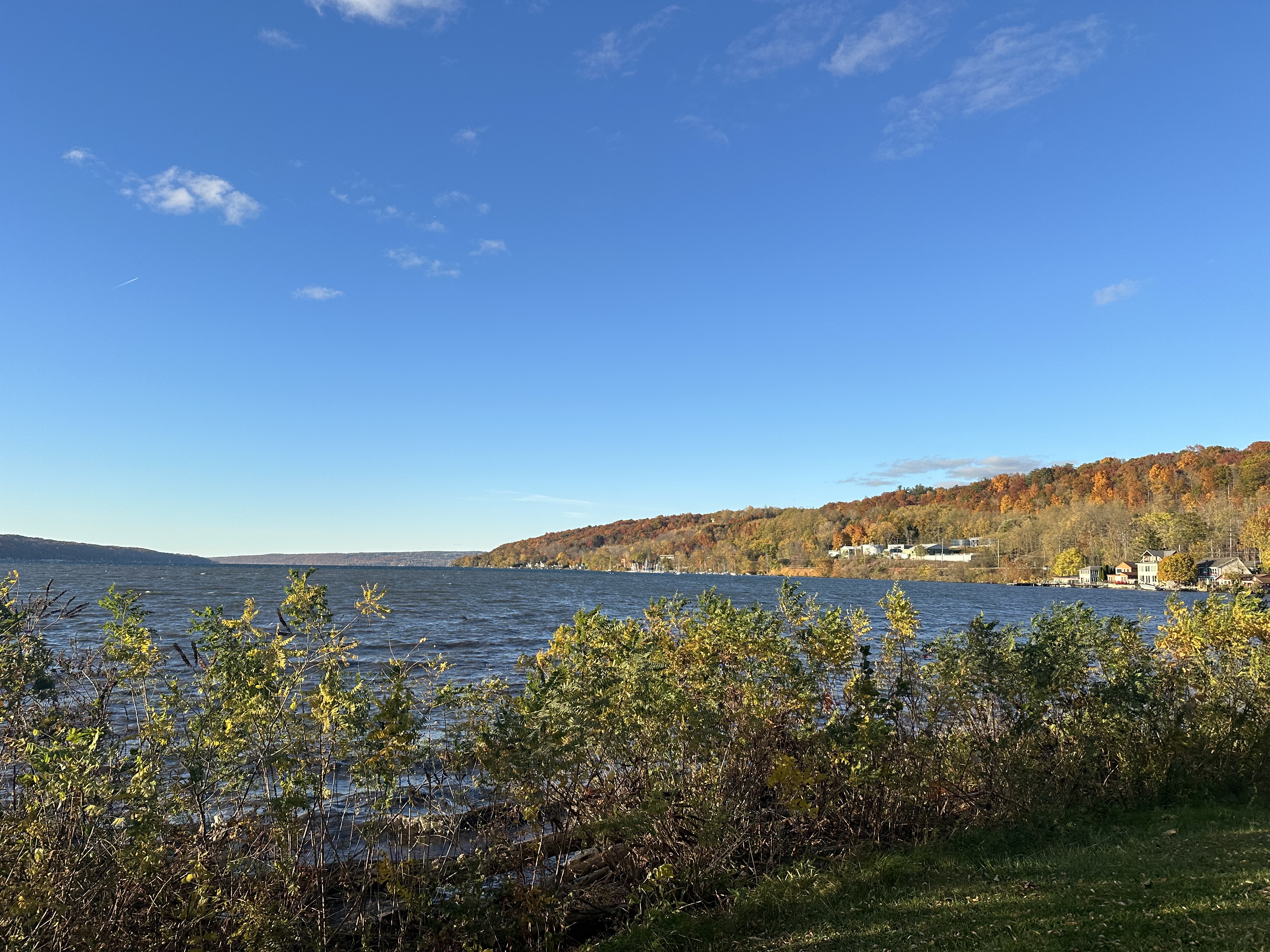 View of the lake in autumn. 