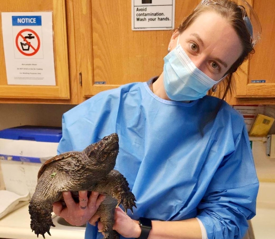 woman holding snapping turtle at hospital
