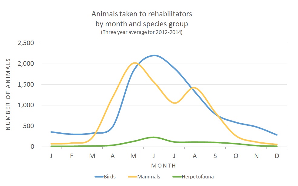 Graph showing number of birds, mammals, and herpetofauna received by rehabilitators each month