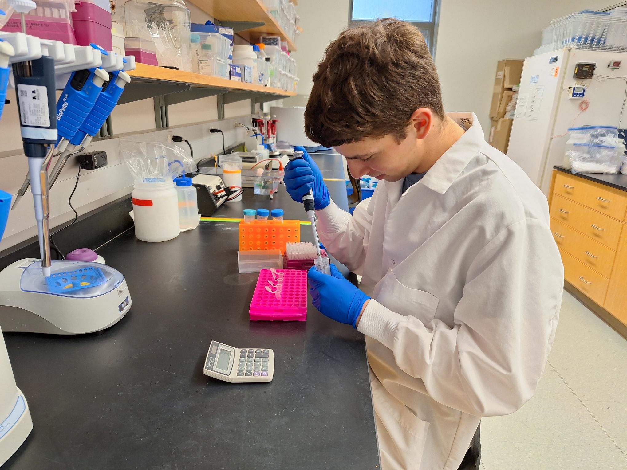 David pipetting samples in the lab