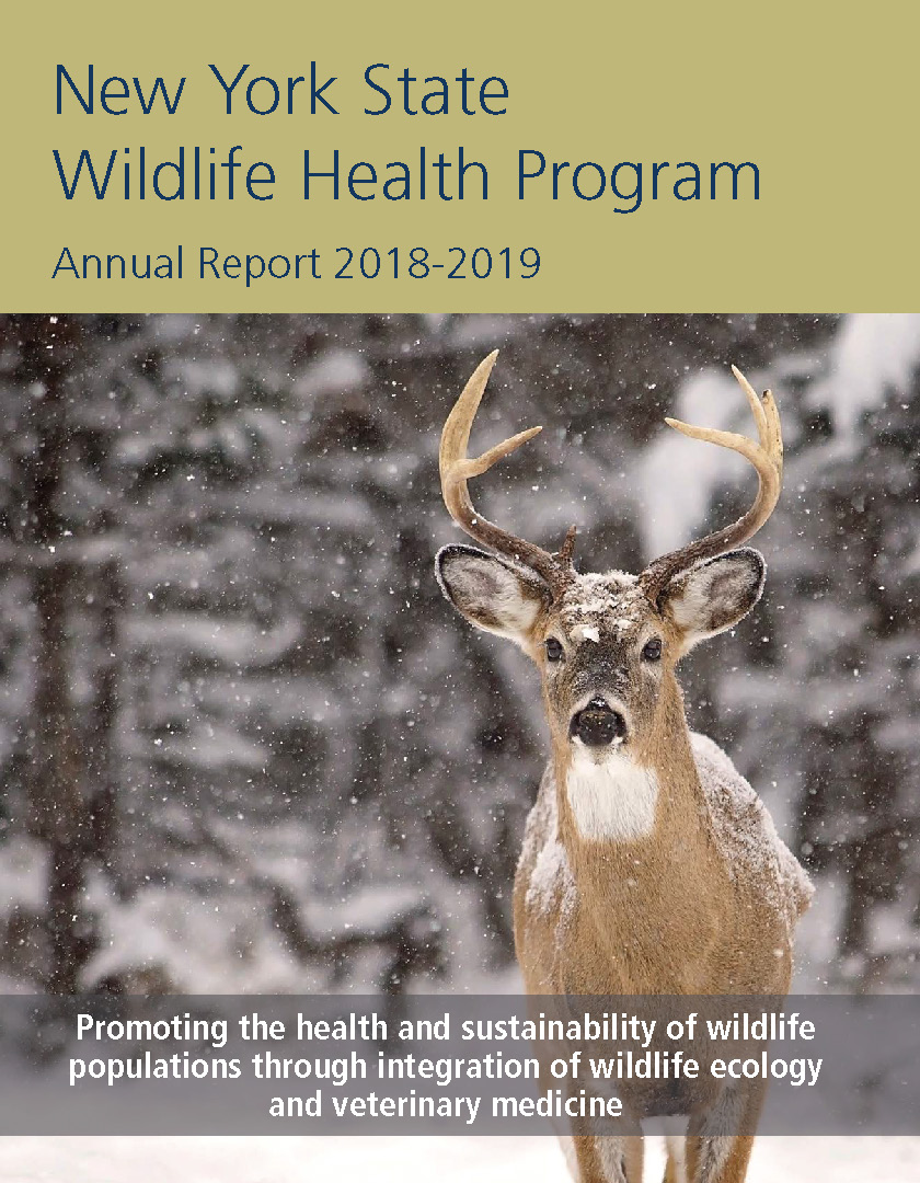 image of cover page of annual report