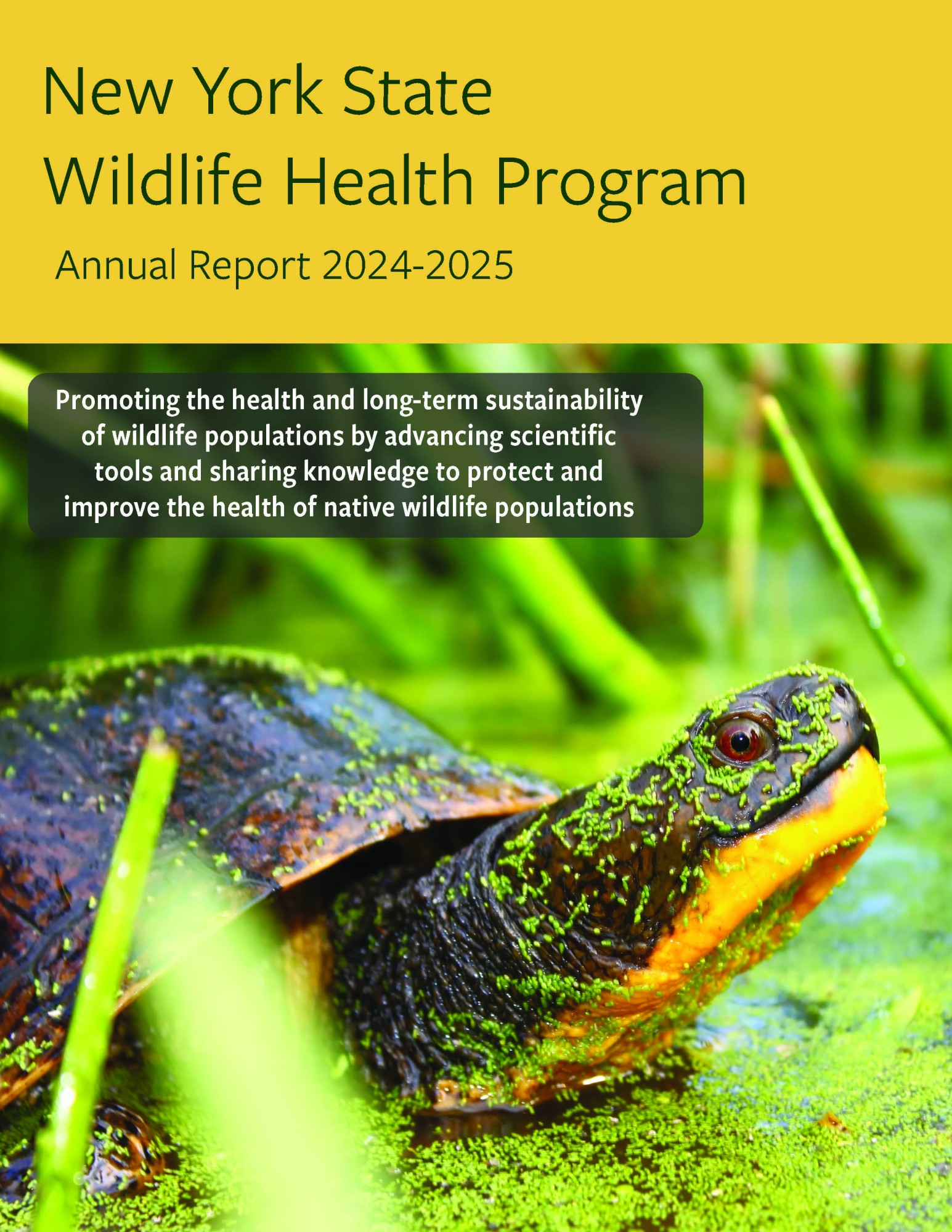 image of annual report