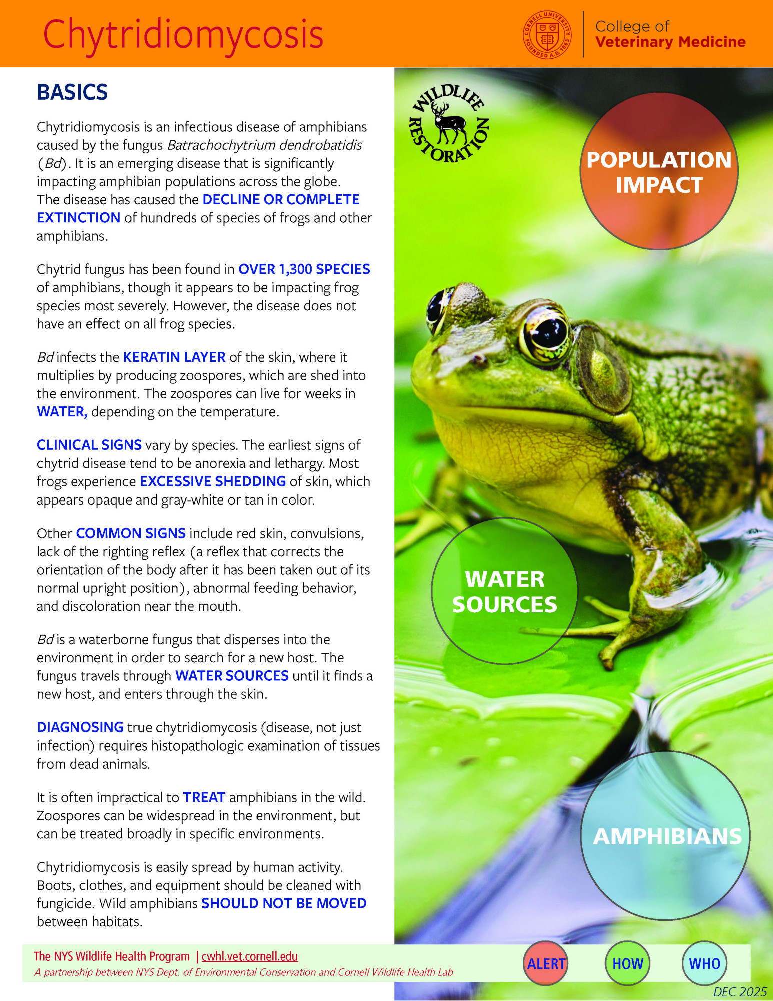 Thumbnail of Fact sheet; click image to download PDF