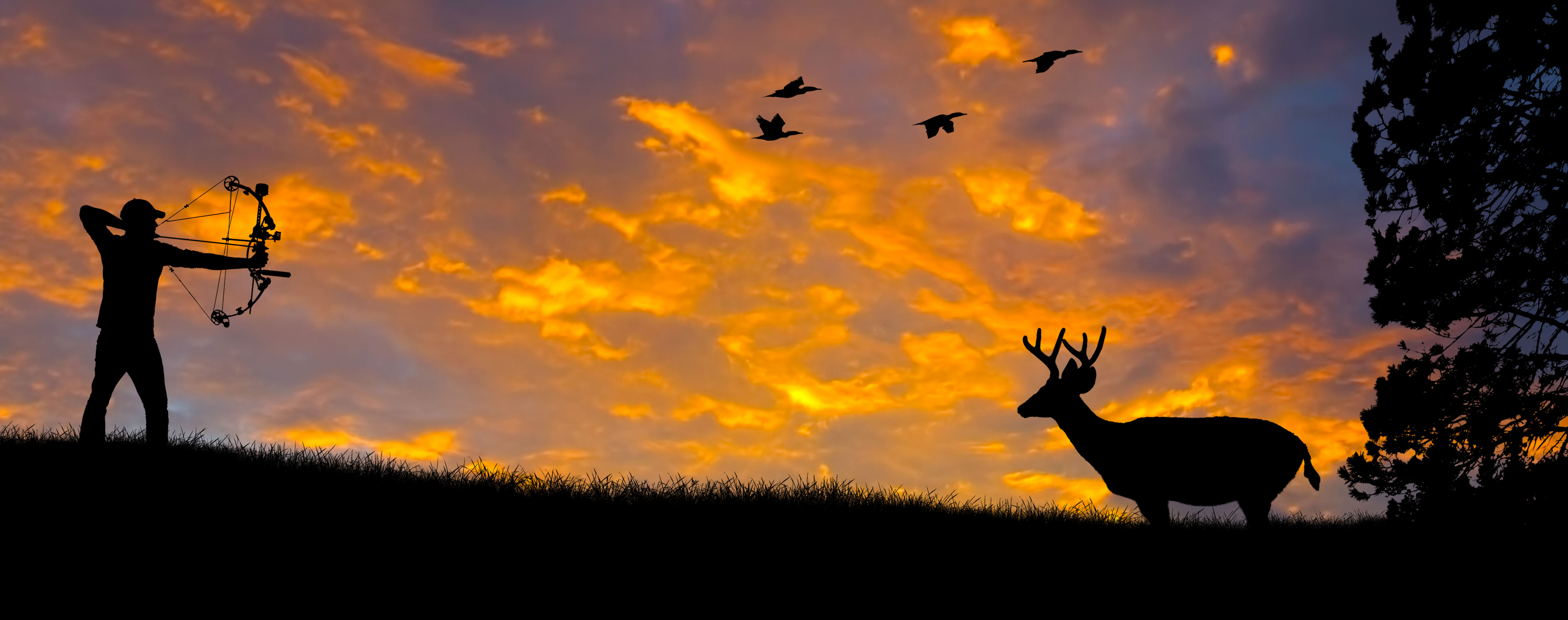 deer in bow hunter sights at sunset