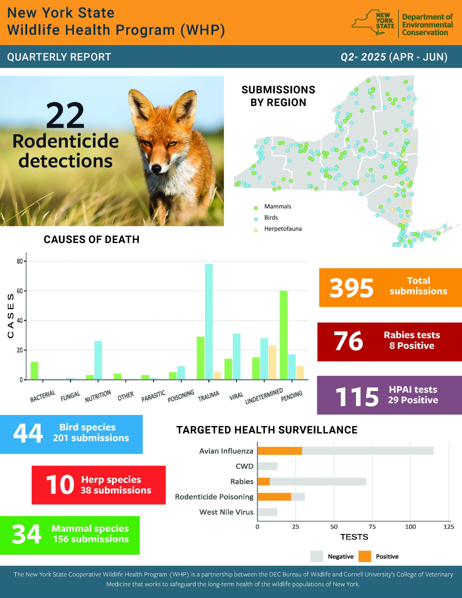 Thumbnail of quarterly report; click image to download PDF