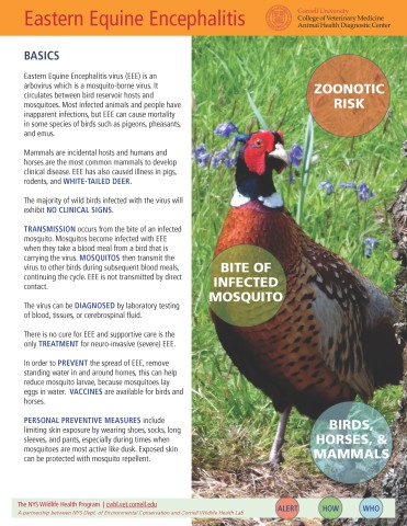 Eastern Equine Encephalitis Disease Fact Sheet Cover Image