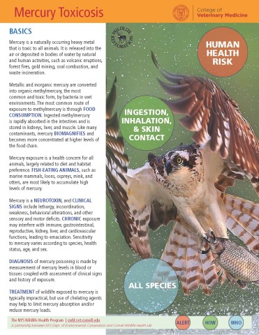 image of Fact sheet with Osprey flying