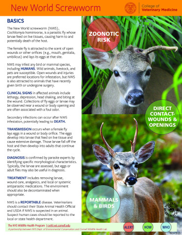 Thumbnail of NWS Fact sheet; click image to download PDF