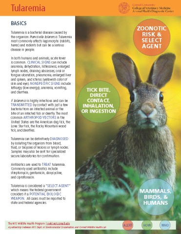 Tularemia Disease Fact Sheet Cover Image