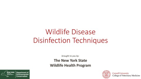 Video of Disinfection Techniques 2017