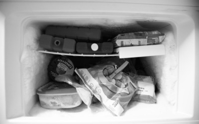 inside the freezer 