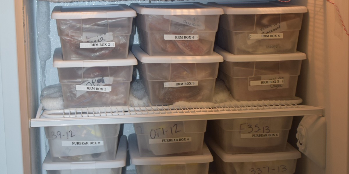 Wildlife tissue samples categorized in bins by species or date depending on project or purpose