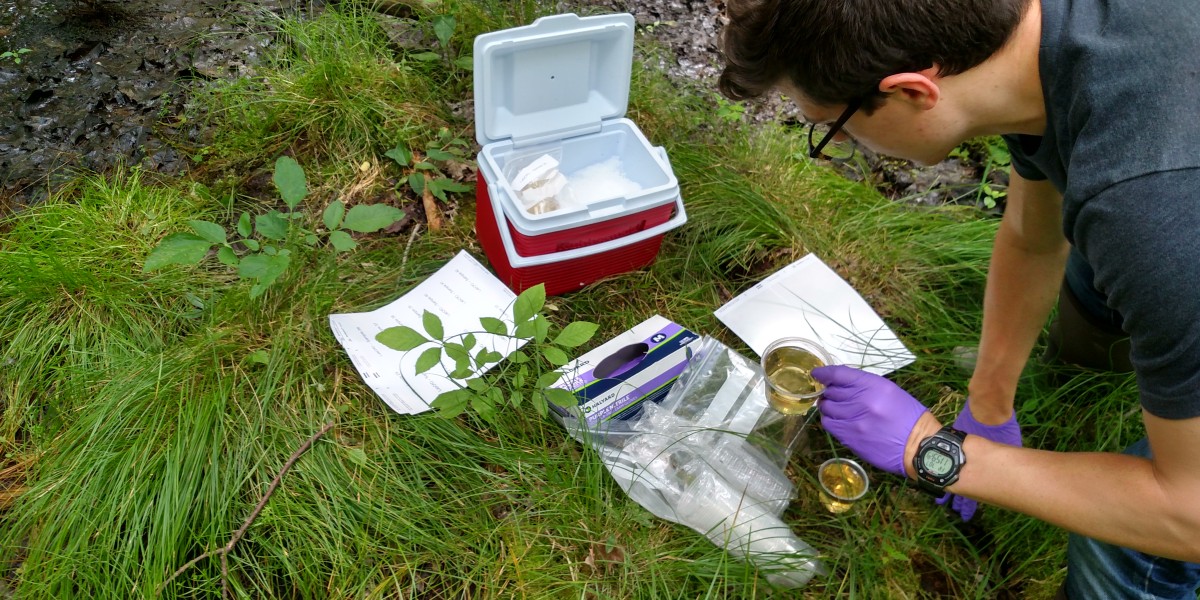 Cataloging samples in the field