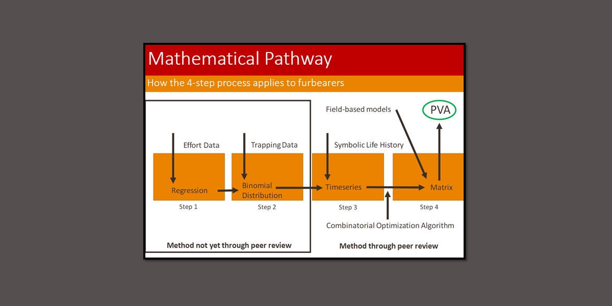 screen shot of mathematical pathway