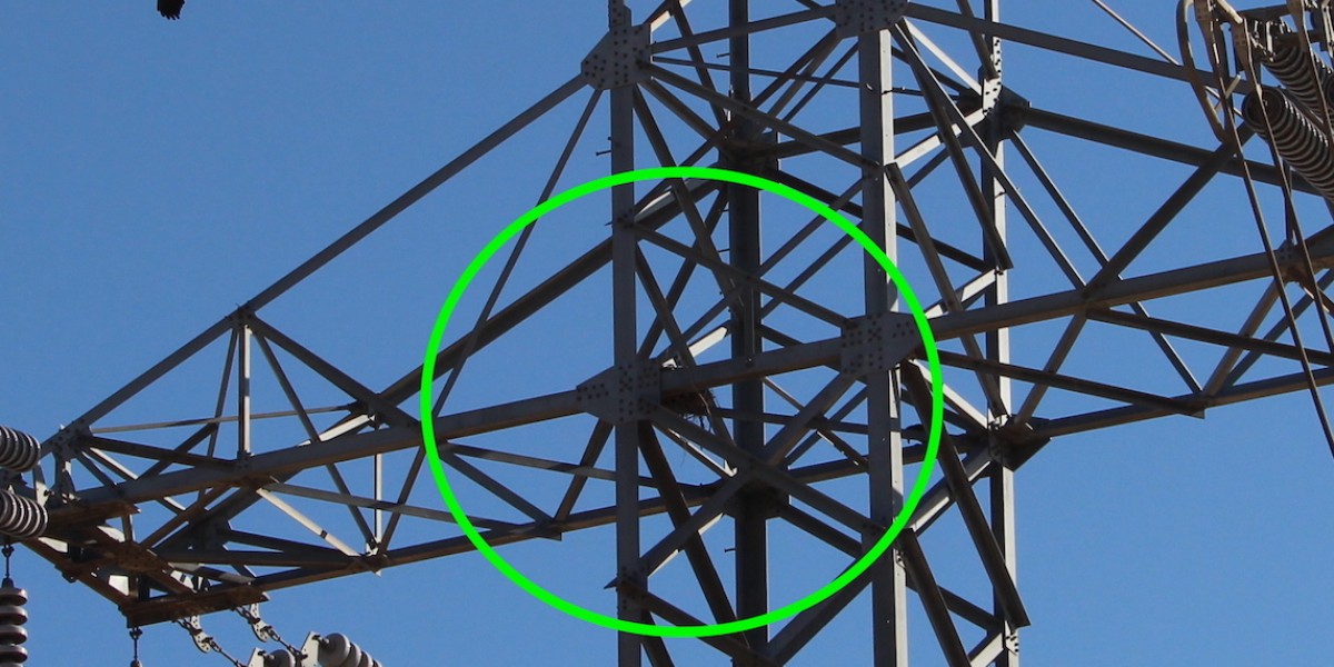 raven nests on power towers lines circled in green