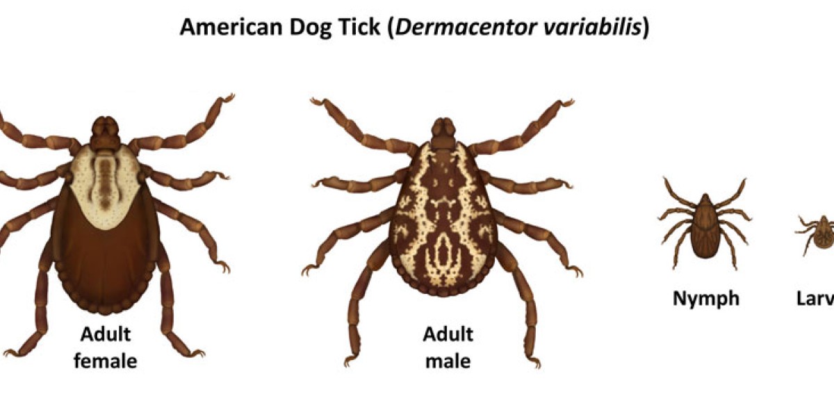 american-dog-tick-family_CDC